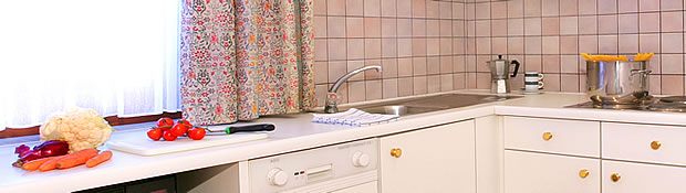Ferienwohnung Nigritella