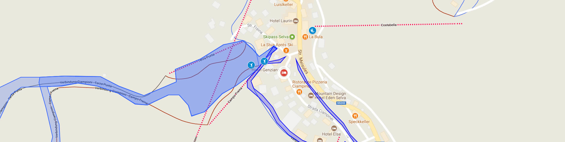 Google Maps