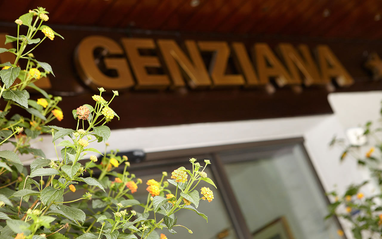 Hotel Genziana