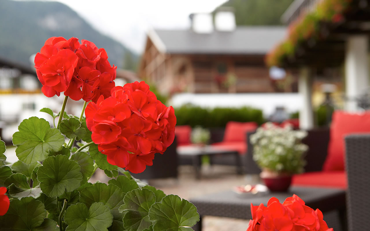 Hotel Genziana
