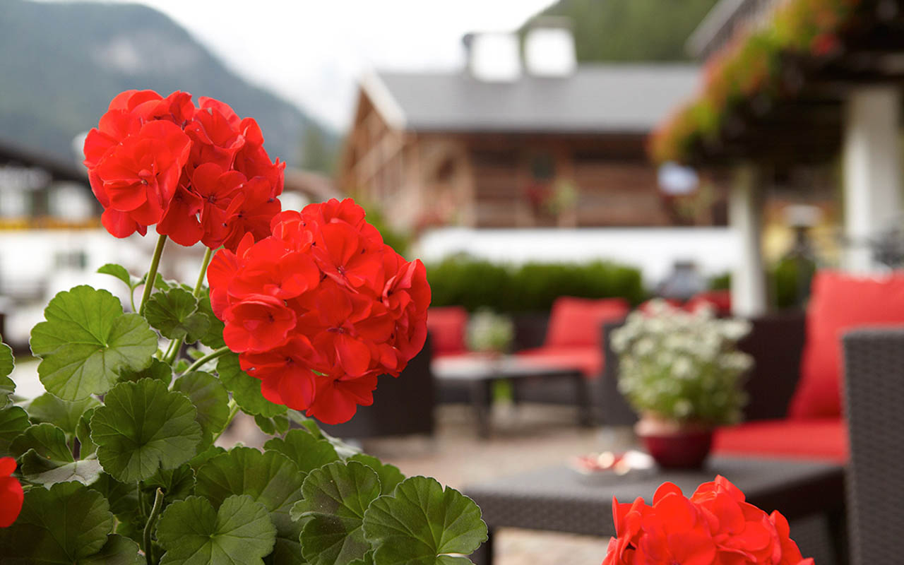 Hotel Genziana im Sommer